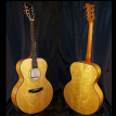 bearclaw acoustic